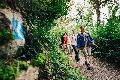Rheinsteig feiert 20 Jahre: Gefhrte Wanderungen in Linz und Unkel