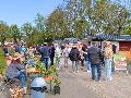 Raubach bl�ht auf: Pflanzmarkt im Zeichen des Jubil�ums 