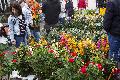 Attraktiver Bauern- und Gartenmarkt in Bendorf erfreute nicht nur Grtner