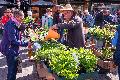 Gartenmarkt Neuwied � das Fr�hlings-Highlight