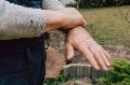 IG BAU Koblenz warnt: Pflanzenschutzmittel als Parkinson-Risiko