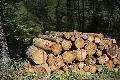 Holz im Wert von 8.000 Euro geklaut