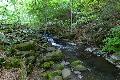 Wanderer und Touristen wundern sich ber Zustand der Holzbachschlucht