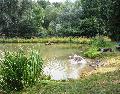 Freizeit-, Spiel- und Lernangebot fr Hunde am Wiesensee
