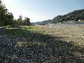 Niedrigwasser im Rhein: Auswirkungen auf Bad H�nningen