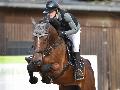 Fr�hsommerliches Reitspektakel in Dierdorf