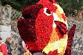 Aufruf zur Unterst�tzung des Erpeler Blumenkorsos 2026