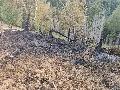 Kleiner Fl�chenbrand bei Leutesdorf schnell unter Kontrolle