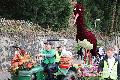 Wagenengel gesucht: 60 Wagenengel f�r Blumenkorso in Erpel ben�tigt