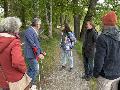 Sanierung der Westerwlder Seenplatte: Fortschritte und Herausforderungen
