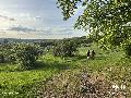 Familien-Erlebniswanderung im Westerwald: Ein Tag voller Abenteuer