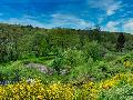 Glhweinwanderung und das Geheimnis eines Fluchtstollens im Oberen Wiedtal