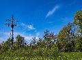 Stromausfall in Teilen der VG Selters: Baum fiel in Freileitung