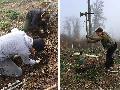 Freiwillige helfen bei der Wiederaufforstung im Forstamt Neuhusel
