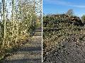 Emprung ber Kahlschlag am Rad-Wanderweg bei Rehe