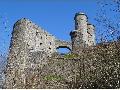 Kr�uterwanderung rund um Burg Greifenstein
