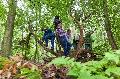 Spielplatz Wald: Kinder knnen die Natur entdecken