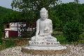 Klostergesprche im buddhistischen Kloster Hassel