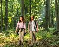 Frster zeigt Bedeutungswandel im Wald