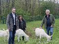 Niederelbert naturnah: Ziegen im Einsatz als Grünpfleger