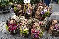 Herbstliches Einkaufsfest in Neuwied zieht Menschenmassen an
