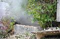 Brand in einem Spänebunker: Löschzüge Mehren und Weyerbusch im Einsatz