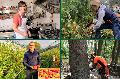 Winzermeisterin Katharina Mohr gehrt zu den Besten des Jahrgangs 