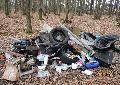 Illegale Entsorgung: Ein Haufen Müll liegt im Wald