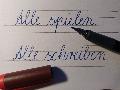 Nicole nrgelt  ber die Abschaffung der Schreibschrift