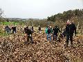 St. Georgsblser pflanzen 100 Bume als Dank an Sponsoren