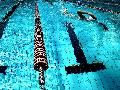 Deichwelle Neuwied beteiligt sich am Schwimmabzeichentag