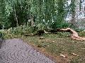 Unwetter in Neuwied: Servicebetriebe werden tagelang aufr�umen
