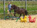 Waldritterfreizeit auf dem Ponyhof in Langenbach