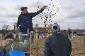 Obstbume richtig schneiden - Kurs in Sessenbach