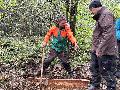 Freiwillige in Hachenburg mit dem Bergwaldprojekt im Einsatz f�r intakte �kosysteme, Wasserr�ckhalt und Artenvielfalt 