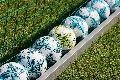 25 Jahre Offene Hilfen: Inklusives Fuballturnier in Wissen