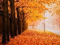 Herbstwetter in Rheinland-Pfalz: Es bleibt Mild und trb