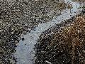 Trinkwasser-Sparverordnung f�r Friesenhagen und Oberasdorf