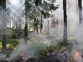 Hitzewelle erhht die Waldbrandgefahr in Rheinland-Pfalz