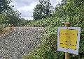 Afrikanische Schweinepest: Elektrozaun im Kreis Altenkirchen nur ein Provisorium