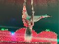 Circus Alexis in Hhr-Grenzhausen: Familienprogramm vom 2. bis 11. Mai