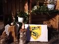 SSG Etzbach verteilt Adventskalender: Weihnachtsaktion fr junge Sportler