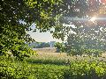 Abendwanderung im Westerwald: Entdeckungstour zu Quellen und Bchen