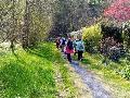Pilgerwanderung in Waldbreitbach: Auf den Spuren von Mutter Rosa