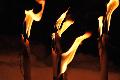 Traditionelle Sternfackelwanderung im Buchfinkenland an Silvester