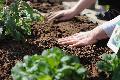 Nachhaltigkeit im Garten - kostenfreie Kurse an der Kreisvolkshochschule Neuwied