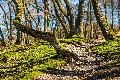 Wandern auf den Wller Touren - neue Broschre fr Rund- und Tageswanderwege im Westerwald