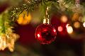 Weihnachtsbume in der Verbandsgemeinde Unkel gesucht