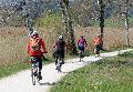 ADFC Kreisverband geplant: Radfahrende im Westerwald wollen sich organisieren