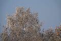 Westerwaldwetter: Sonniges, kaltes Wochenende